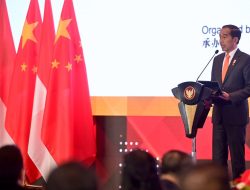 Jokowi Sebut Investor China Seperti Bruce Lee, Cepat dan Tepat